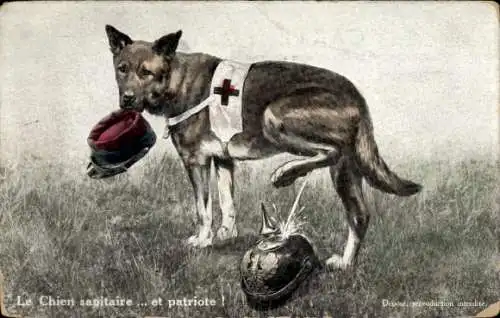 Künstler Ak Le Chien sanitaire, et patriote, Sanitätshund pinkelt auf Pickelhaube, I. WK