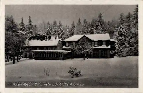 Ak Hain Oybin in der Oberlausitz, Hotel und Gaststätte Forsthaus, Schnee