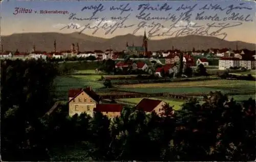 Ak Zittau in der Oberlausitz, Blick auf den Ort vom Eckertsberge