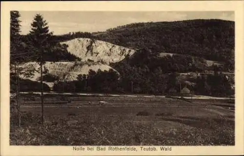 Ak Nolle Dissen am Teutoburger Wald, Felsen, Wald