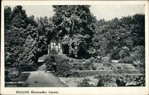 Ak Bielefeld in Nordrhein Westfalen, Botanischer Garten