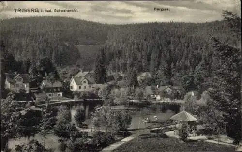 Ak Triberg im Schwarzwald, Panorama, Bergsee