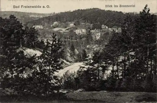 Ak Bad Freienwalde an der Oder, Gesamtansicht, Brunnental