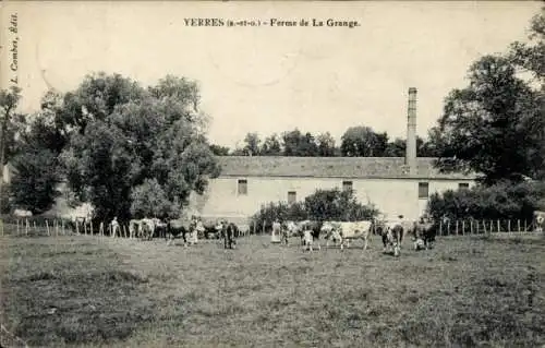 Ak Yerres Essonne, Kühe auf einer Wiese vor einem Bauernhaus