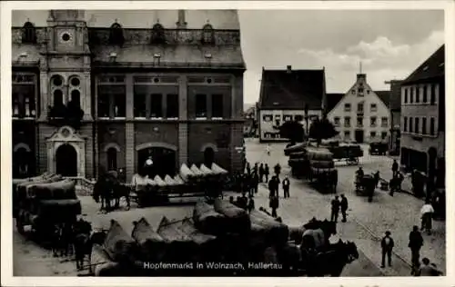 Ak Wolnzach Hallertau, Belebter Hopfenmarkt