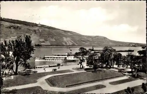 Ak Bingen am Rhein, Rheinanlagen