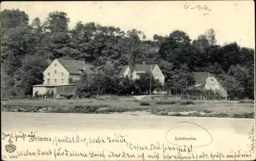 Ak Grimma in Sachsen, Partie an der Schiffmühle, Wald, Ufer