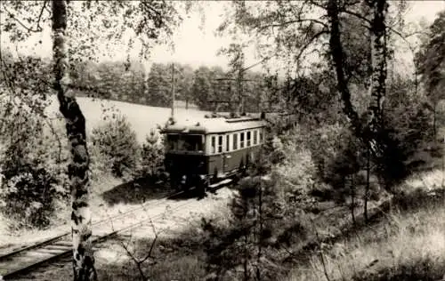 Ak Buckow in der Märkischen Schweiz, Waldbahn