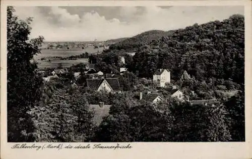 Ak Falkenberg in der Mark, Teilansicht, Sommerfrische