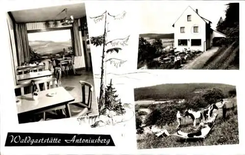 Ak Schlitz in Hessen, Waldgaststätte und Pension Antoniusberg