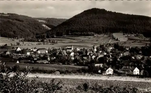 Ak Selbitz im Frankenwald, Gesamtansicht