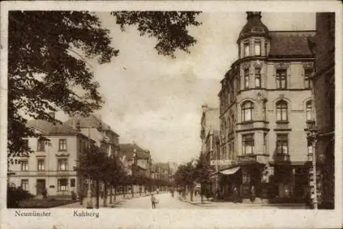 Ak Neumünster in Holstein, Kuhberg