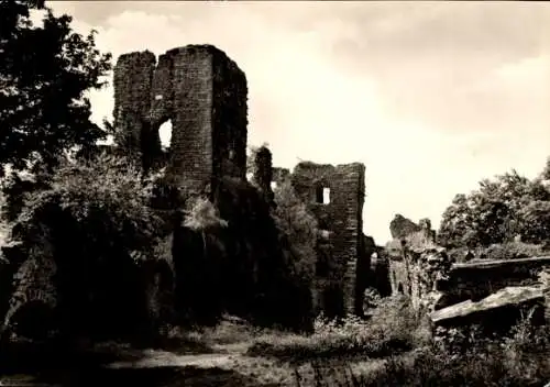 Ak Neustadt im Harz Harztor Thüringen, Ruine Hohnstein