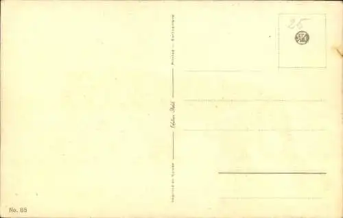 Ak Tiger schleicht durch die Savanne