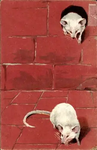 Präge Litho Zwei weiße Mäuse, Mäuseloch, Ratten