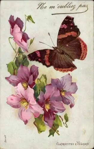 Litho Clématites et Vulcain, Schmetterling und Klematis