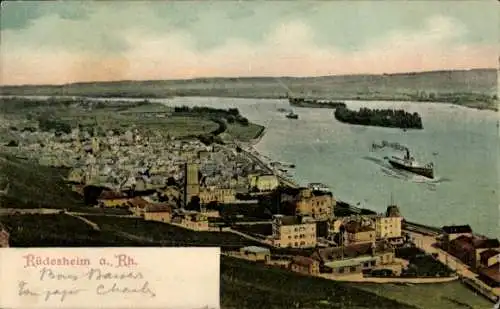 Ak Rüdesheim am Rhein, Panorama, Dampfer