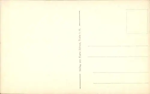 Ak Wernigerode im Harz, Gotischer Brunnnen