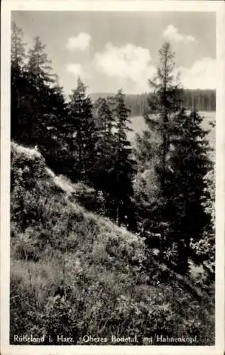 Ak Rübeland Oberharz am Brocken, Oberes Bodetal, Hahnenkopf