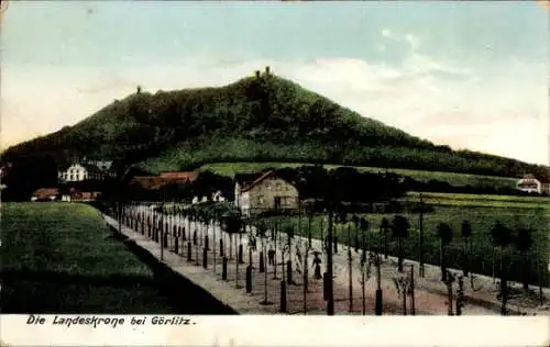 Ak Görlitz in der Lausitz, Landeskrone, Panorama