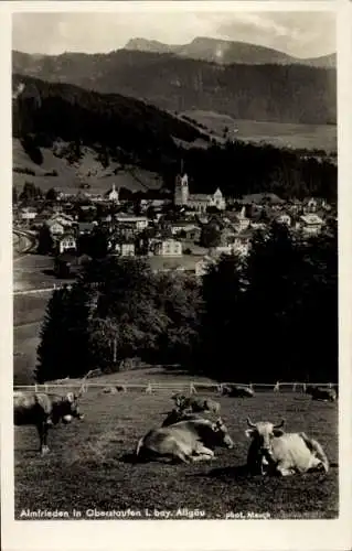 Ak Oberstaufen, Almfrieden, Totalblick auf die Stadt, Kühe auf der Alm