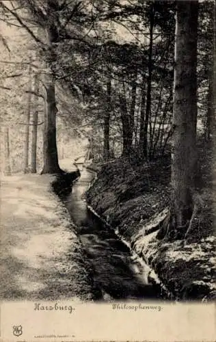 Ak Bad Harzburg am Harz, Philosophenweg