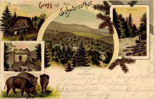 Litho Bad Blankenburg in Thüringen, Schwarzatal, Eberstein, Schloss vom Helenensitz, Schweizerhaus