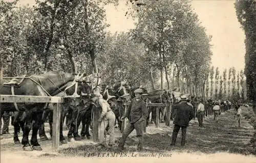 Ak Étampes Essonne, AMPES. Le marché franc