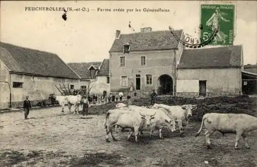 Ak Feucherolles Yvelines, Kühe auf einem Bauernhof