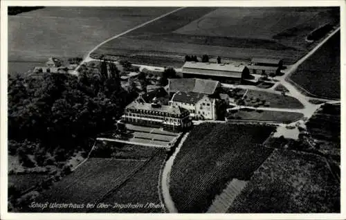 Ak Ober Ingelheim am Rhein, Fliegeraufnahme