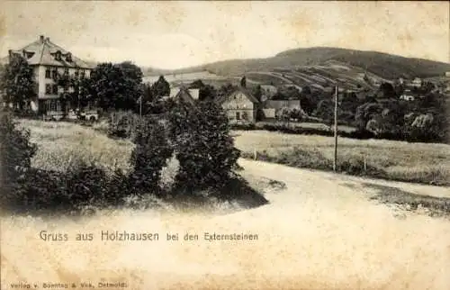 Ak Horn Bad Meinberg im Teutoburger Wald Westfalen, Externsteine, Teilansicht