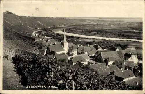 Ak Escherndorf am Main Volkach, Panorama