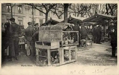 Ak Paris VII, le marché aux Oiseaux