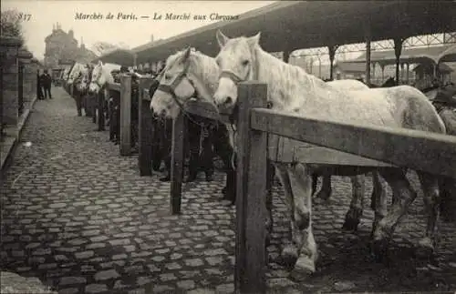 CPA Paris, Marche aux Chevaux