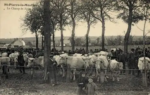 CPA Saint-Pierre-le-Moûtier Nièvre, Champ de Foire