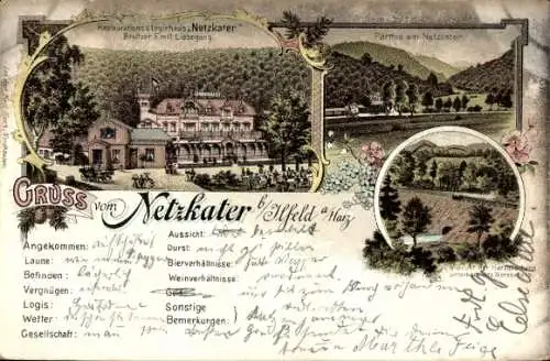 Litho Netzkater Ilfeld am Harz Thüringen, Restaurant, Eisenbahn