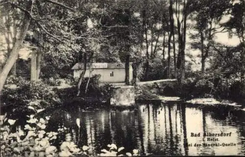 Ak Albersdorf in Dithmarschen, Mineral-Quelle