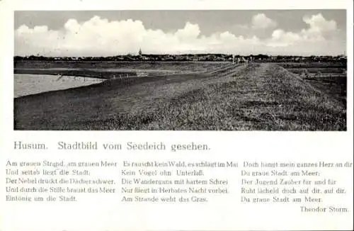 Gedicht Ak Husum in Nordfriesland, Stadtbild vom Seedeich gesehen