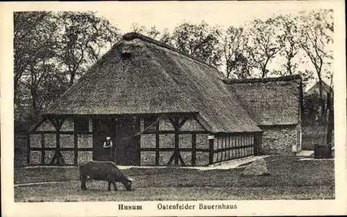 Ak Husum in Nordfriesland, Ostenfelder Bauernhaus