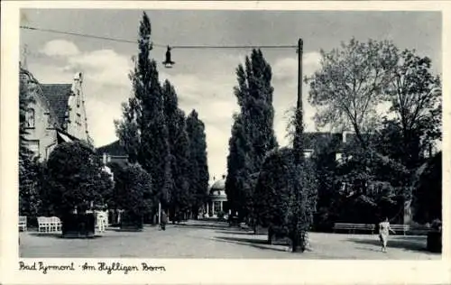 Ak Bad Pyrmont in Niedersachsen, Am hylligen Horn