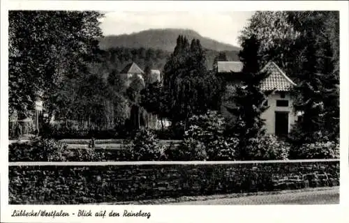 Ak Lübbecke in Westfalen, Reineberg