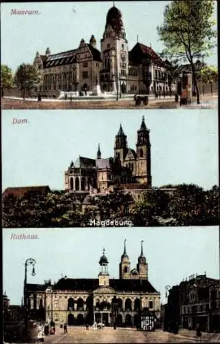 Ak Magdeburg, Straßenpartie am Museum mit Dom und Rathaus