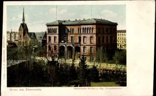 Ak Eberswalde, Kath. Kirche und Kgl. Forstakademie