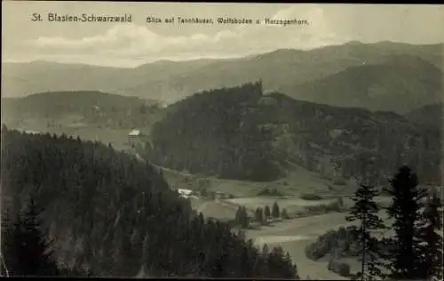 Ak St. Blasien im Schwarzwald, Panorama, Tannhäuser, Wolfsboden, Herzogenhorn