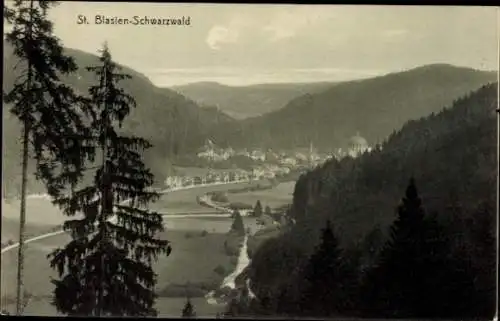 Ak St. Blasien im Schwarzwald, Panorama