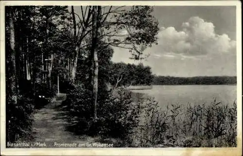 Ak Biesenthal in der Mark, Promenade am Gr. Wukensee