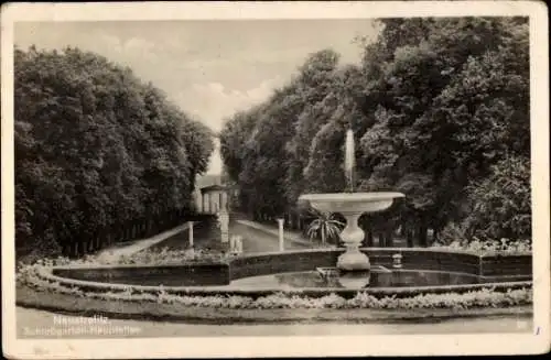 Ak Neustrelitz in Mecklenburg, Schlossgarten, Hauptallee