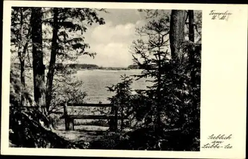 Ak Templin in der Uckermark, Seeblick am Lübbe-See