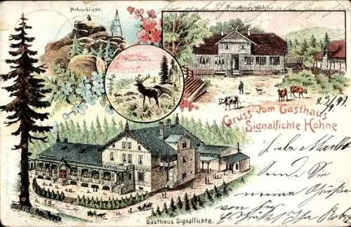 Litho Wernigerode am Harz, Gasthaus Signalfichte Hohne, Hohneklippe, Forsthaus