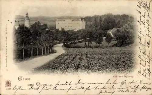 Ak Oppurg an der Orla Thüringen, Schloss Oppurg